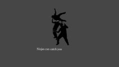 Ninjas cant catch you