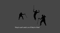 Ninjas cant catch you