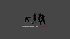 Ninjas cant catch you