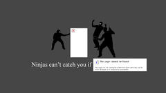 Ninjas cant catch you