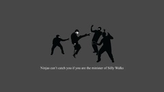 Ninjas cant catch you