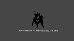 Ninjas cant catch you