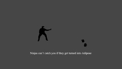 Ninjas cant catch you