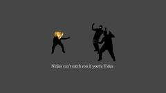 Ninjas cant catch you