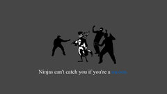 Ninjas cant catch you