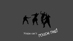 Ninjas cant catch you