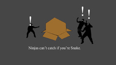 Ninjas cant catch you