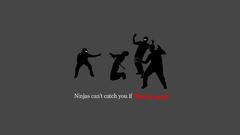 Ninjas cant catch you