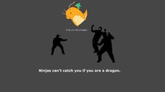 Ninjas cant catch you