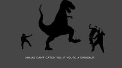 Ninjas cant catch you