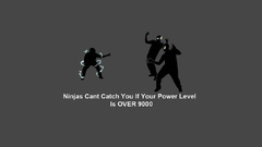Ninjas cant catch you