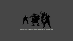 Ninjas cant catch you
