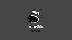 Ninjas cant catch you