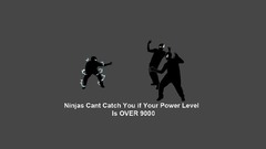 Ninjas cant catch you