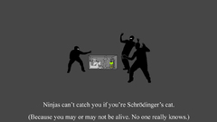 Ninjas cant catch you