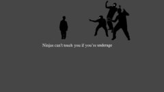 Ninjas cant catch you