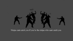 Ninjas cant catch you