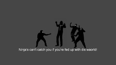 Ninjas cant catch you