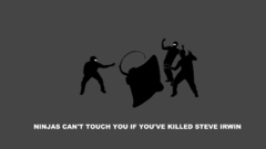 Ninjas cant catch you