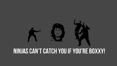 Ninjas cant catch you