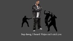Ninjas cant catch you