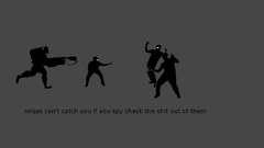 Ninjas cant catch you