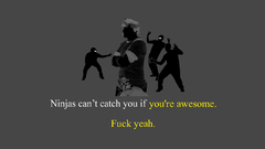 Ninjas cant catch you