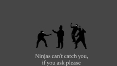 Ninjas cant catch you