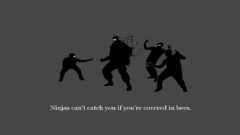 Ninjas cant catch You