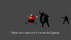 Ninjas cant catch You