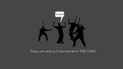 Ninjas cant catch You