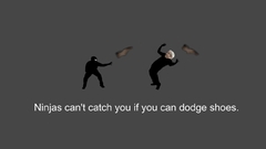 Ninjas cant catch You