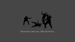 Ninjas cant catch You