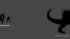 Ninjas cant catch You