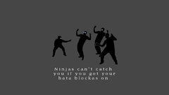 Ninjas cant catch You