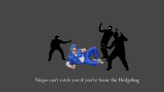 Ninjas cant catch You