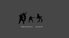 Ninjas cant catch You