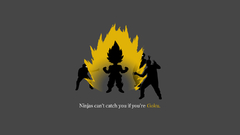 Ninjas cant catch You