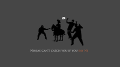 Ninjas cant catch You