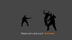 Ninjas gray funny ninjas