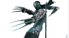 Ninjas hayabusa white background