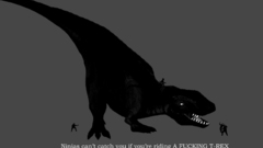 Ninjas ninjas cant catch