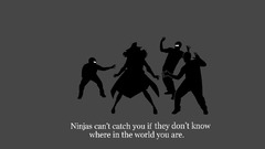 Ninjas ninjas cant catch