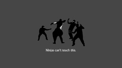 Ninjas ninjas cant catch