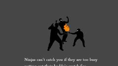 Ninjas ninjas cant catch