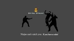 Ninjas ninjas cant catch