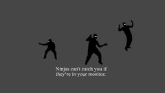 Ninjas ninjas cant catch