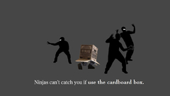 Ninjas ninjas cant catch