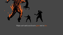 Ninjas ninjas cant catch
