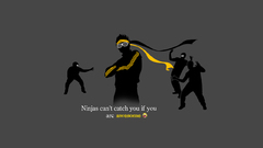 Ninjas ninjas cant catch